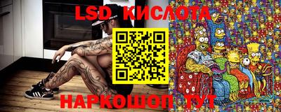 наркотики Камышлов