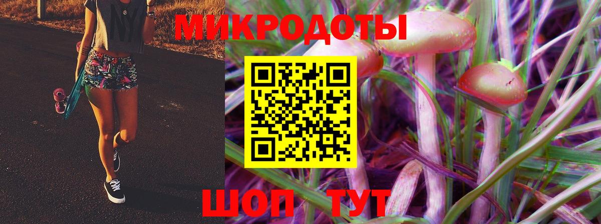 Псилоцибиновые грибы Psilocybe  Вход с VPN  Кропоткин 